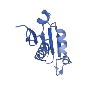 14752_7zjx_LX_v1-0
Rabbit 80S ribosome programmed with SECIS and SBP2