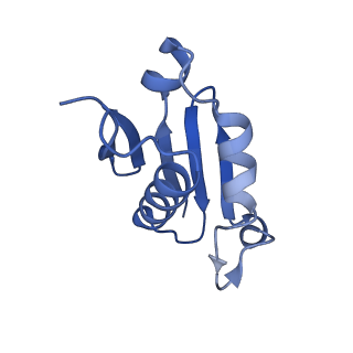 14752_7zjx_LX_v2-0
Rabbit 80S ribosome programmed with SECIS and SBP2
