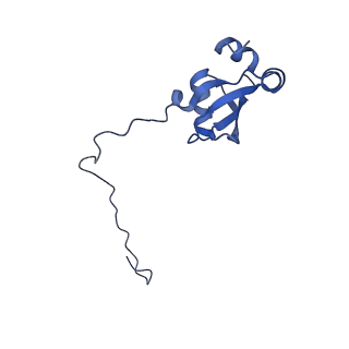 14752_7zjx_La_v1-0
Rabbit 80S ribosome programmed with SECIS and SBP2