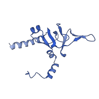 14752_7zjx_Lb_v1-0
Rabbit 80S ribosome programmed with SECIS and SBP2