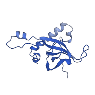 14752_7zjx_Lc_v1-0
Rabbit 80S ribosome programmed with SECIS and SBP2