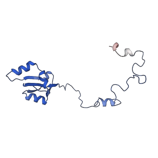 14752_7zjx_Ld_v1-0
Rabbit 80S ribosome programmed with SECIS and SBP2