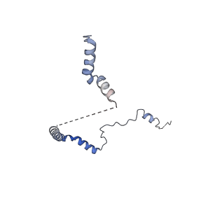 14752_7zjx_Le_v1-0
Rabbit 80S ribosome programmed with SECIS and SBP2