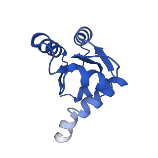 14752_7zjx_Lf_v1-0
Rabbit 80S ribosome programmed with SECIS and SBP2