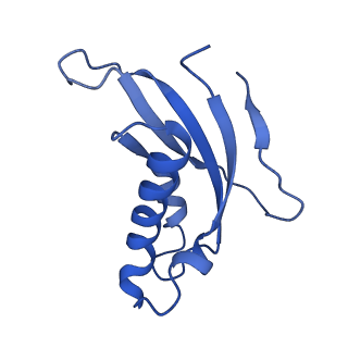 14752_7zjx_Lg_v1-0
Rabbit 80S ribosome programmed with SECIS and SBP2