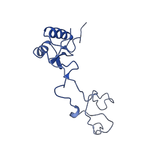 14752_7zjx_Lh_v1-0
Rabbit 80S ribosome programmed with SECIS and SBP2