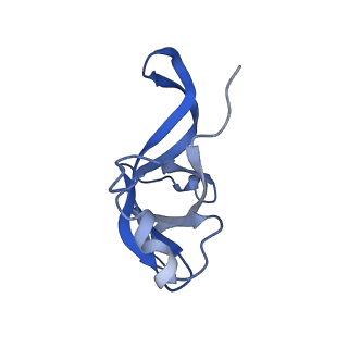 14752_7zjx_Li_v1-0
Rabbit 80S ribosome programmed with SECIS and SBP2