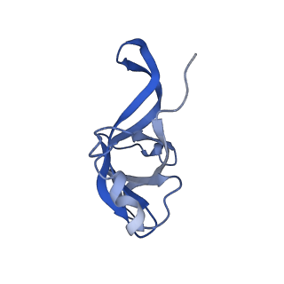 14752_7zjx_Li_v2-0
Rabbit 80S ribosome programmed with SECIS and SBP2