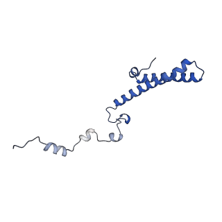 14752_7zjx_Lk_v1-0
Rabbit 80S ribosome programmed with SECIS and SBP2