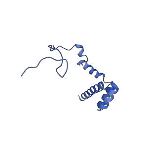 14752_7zjx_Ll_v1-0
Rabbit 80S ribosome programmed with SECIS and SBP2