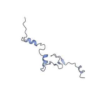 14752_7zjx_Lm_v1-0
Rabbit 80S ribosome programmed with SECIS and SBP2