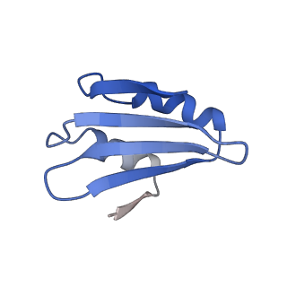 14752_7zjx_Ln_v1-0
Rabbit 80S ribosome programmed with SECIS and SBP2