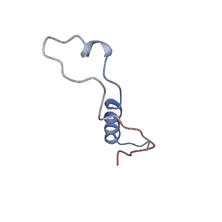 14752_7zjx_Lo_v1-0
Rabbit 80S ribosome programmed with SECIS and SBP2