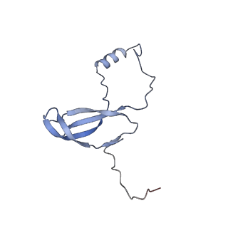 14752_7zjx_Lq_v1-0
Rabbit 80S ribosome programmed with SECIS and SBP2