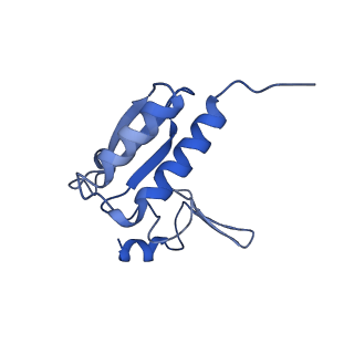 14752_7zjx_Ls_v1-0
Rabbit 80S ribosome programmed with SECIS and SBP2