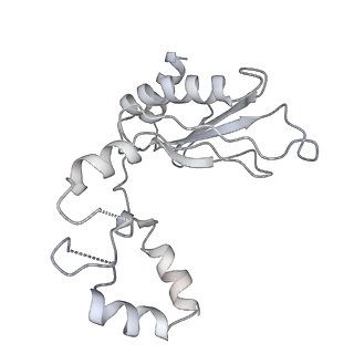14752_7zjx_Lx_v1-0
Rabbit 80S ribosome programmed with SECIS and SBP2