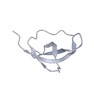 14752_7zjx_SC_v1-0
Rabbit 80S ribosome programmed with SECIS and SBP2