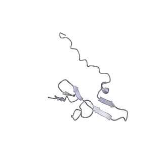 14752_7zjx_SD_v1-0
Rabbit 80S ribosome programmed with SECIS and SBP2