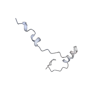 14752_7zjx_SE_v1-0
Rabbit 80S ribosome programmed with SECIS and SBP2