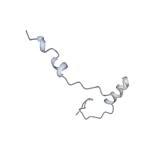 14752_7zjx_SE_v2-0
Rabbit 80S ribosome programmed with SECIS and SBP2