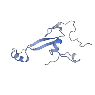 14752_7zjx_SF_v1-0
Rabbit 80S ribosome programmed with SECIS and SBP2