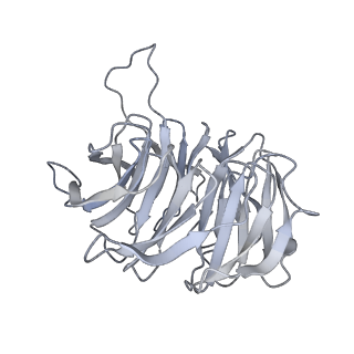 14752_7zjx_SG_v1-0
Rabbit 80S ribosome programmed with SECIS and SBP2