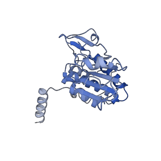 14752_7zjx_SL_v1-0
Rabbit 80S ribosome programmed with SECIS and SBP2