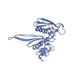 14752_7zjx_SN_v1-0
Rabbit 80S ribosome programmed with SECIS and SBP2