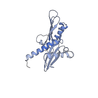 14752_7zjx_SO_v1-0
Rabbit 80S ribosome programmed with SECIS and SBP2