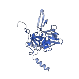 14752_7zjx_SP_v1-0
Rabbit 80S ribosome programmed with SECIS and SBP2