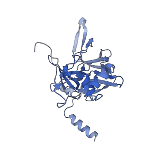 14752_7zjx_SP_v2-0
Rabbit 80S ribosome programmed with SECIS and SBP2