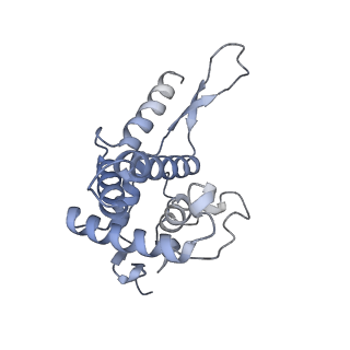 14752_7zjx_SQ_v1-0
Rabbit 80S ribosome programmed with SECIS and SBP2