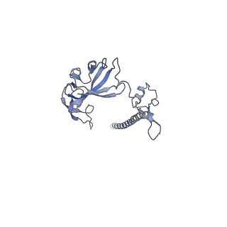14752_7zjx_SR_v1-0
Rabbit 80S ribosome programmed with SECIS and SBP2