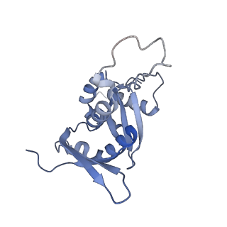 14752_7zjx_SS_v1-0
Rabbit 80S ribosome programmed with SECIS and SBP2