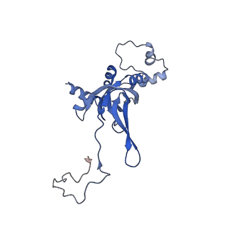 14752_7zjx_ST_v1-0
Rabbit 80S ribosome programmed with SECIS and SBP2