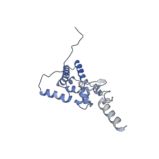 14752_7zjx_SU_v1-0
Rabbit 80S ribosome programmed with SECIS and SBP2