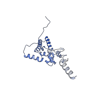 14752_7zjx_SU_v2-0
Rabbit 80S ribosome programmed with SECIS and SBP2