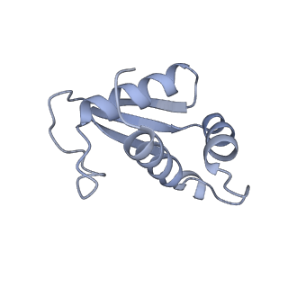 14752_7zjx_SV_v1-0
Rabbit 80S ribosome programmed with SECIS and SBP2