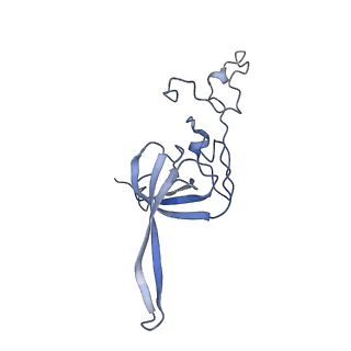 14752_7zjx_SW_v1-0
Rabbit 80S ribosome programmed with SECIS and SBP2