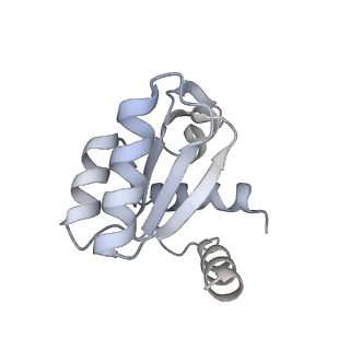 14752_7zjx_SX_v1-0
Rabbit 80S ribosome programmed with SECIS and SBP2