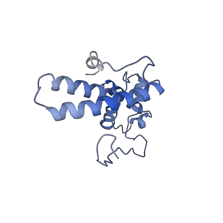 14752_7zjx_SY_v1-0
Rabbit 80S ribosome programmed with SECIS and SBP2