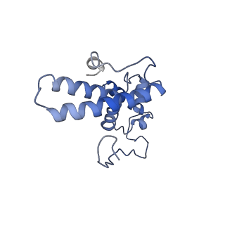 14752_7zjx_SY_v2-0
Rabbit 80S ribosome programmed with SECIS and SBP2