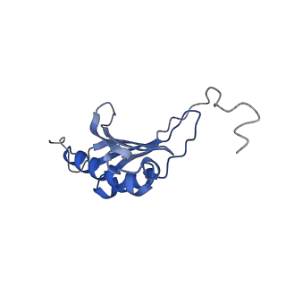 14752_7zjx_SZ_v1-0
Rabbit 80S ribosome programmed with SECIS and SBP2
