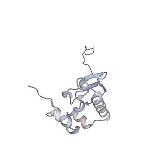 14752_7zjx_Sa_v1-0
Rabbit 80S ribosome programmed with SECIS and SBP2
