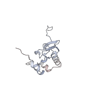 14752_7zjx_Sa_v2-0
Rabbit 80S ribosome programmed with SECIS and SBP2