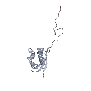 14752_7zjx_Sb_v1-0
Rabbit 80S ribosome programmed with SECIS and SBP2