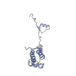 14752_7zjx_Sc_v1-0
Rabbit 80S ribosome programmed with SECIS and SBP2
