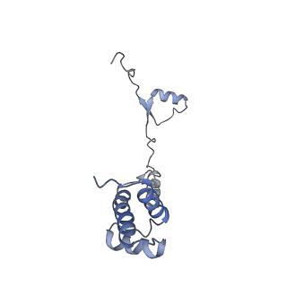 14752_7zjx_Sc_v2-0
Rabbit 80S ribosome programmed with SECIS and SBP2