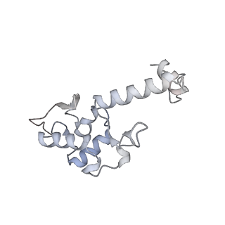 14752_7zjx_Sd_v1-0
Rabbit 80S ribosome programmed with SECIS and SBP2