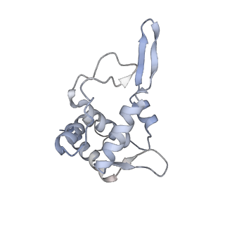 14752_7zjx_Se_v1-0
Rabbit 80S ribosome programmed with SECIS and SBP2